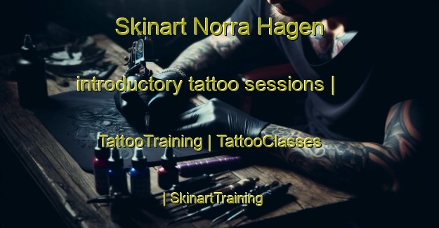 Skinart Norra Hagen introductory tattoo sessions | TattooTraining | TattooClasses | SkinartTraining-Sweden